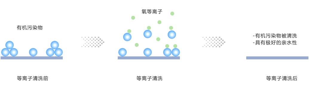 氧氣草莓视频APPIOS下载清洗有機物示意圖