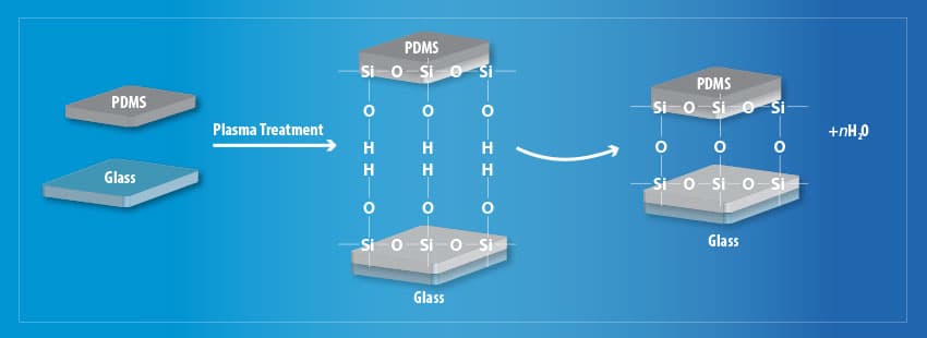 PDMS-玻璃草莓视频APPIOS下载鍵合原理