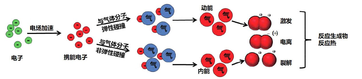 草莓视频APPIOS下载體產生過程及改性