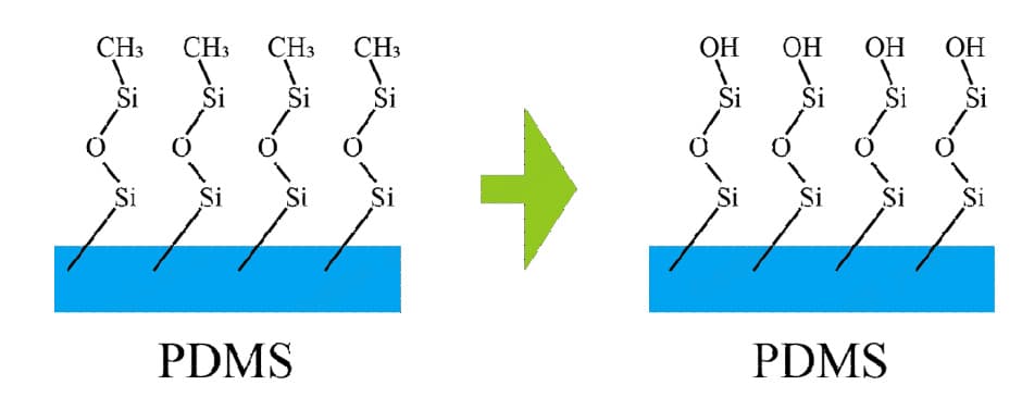 圖1.1 PDMS 草莓视频APPIOS下载表麵處理