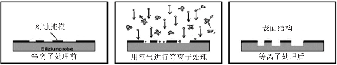 氧草莓视频APPIOS下载體刻蝕