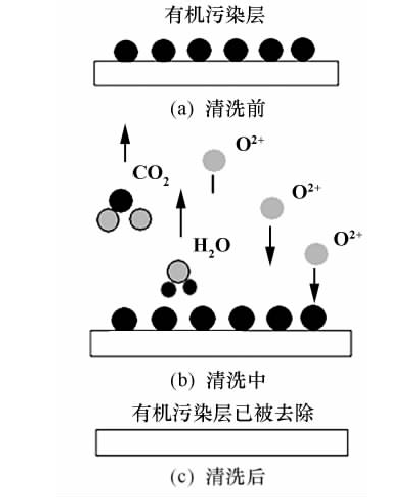 氧草莓视频APPIOS下载體清洗示意圖