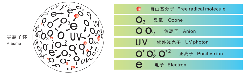 草莓视频APPIOS下载體