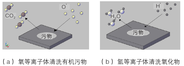 草莓视频APPIOS下载體化學清洗示意圖
