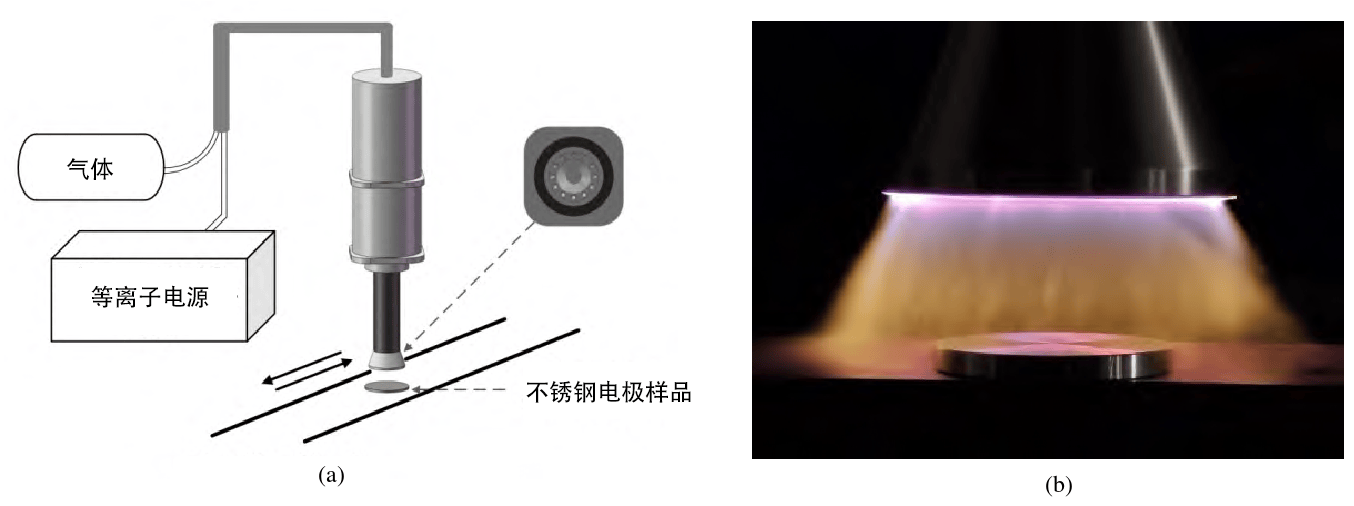 草莓视频APPIOS下载體清洗不鏽鋼圖片