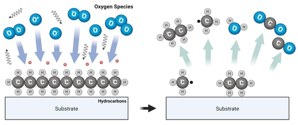 氧草莓视频APPIOS下载體清洗去除有機汙染物