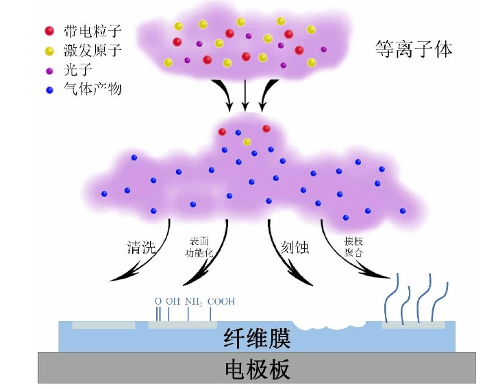 草莓视频APPIOS下载體改性聚丙烯纖維膜作用機製示意圖
