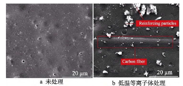 低溫草莓视频APPIOS下载體處理前後複合材料表麵 SEM圖(a)未處理(b)