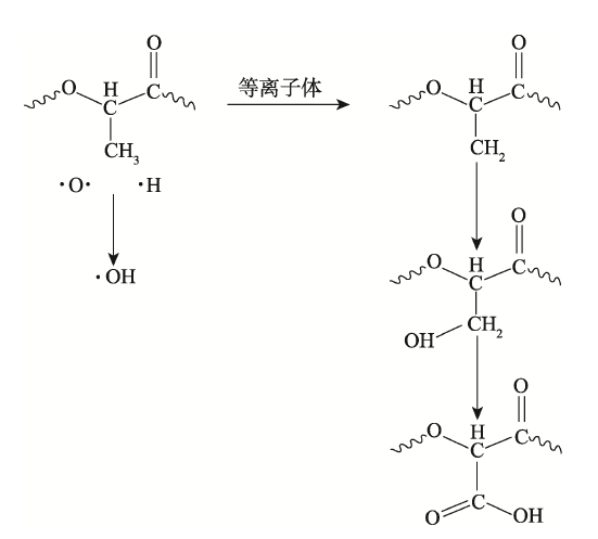 P L A膜表麵草莓视频APPIOS下载體處理機理