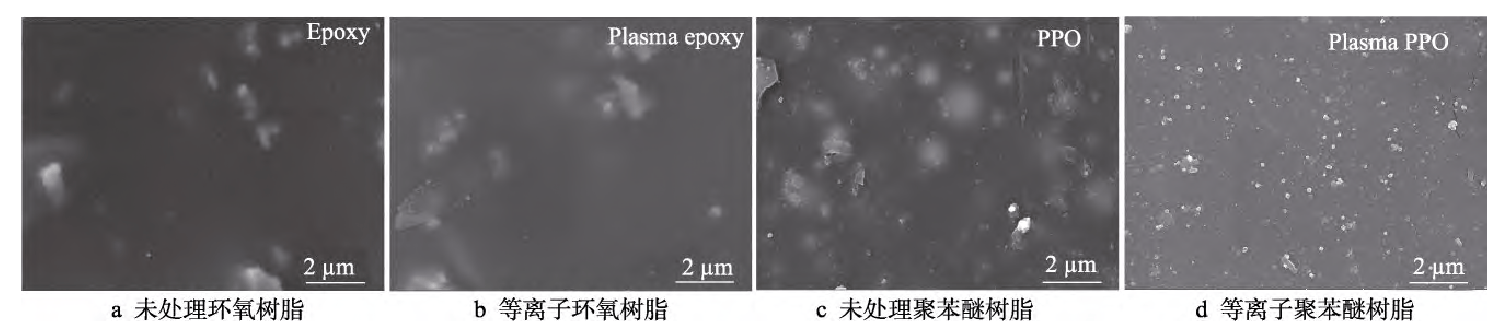 草莓视频APPIOS下载處理前後樹脂半固化片表麵SEM圖像 