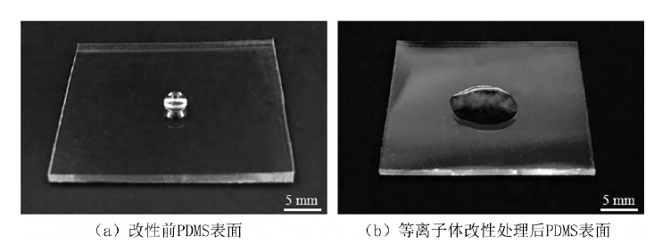 PDMS基片氧草莓视频APPIOS下载處理前後水滴角對比