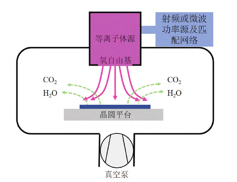 圖1 氧草莓视频APPIOS下载體灰化工藝過程