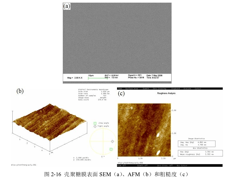 圖3-1 殼聚糖膜表麵SEM(a)、AFM(b)和粗糙度(c) 