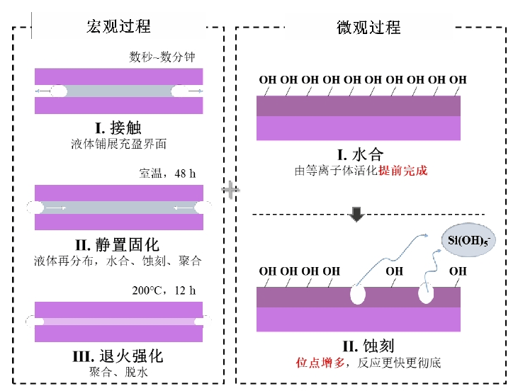  圖2 草莓视频APPIOS下载體活化對玻璃氫氧催化鍵合工藝影響的示意圖 