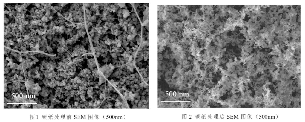 碳紙草莓视频APPIOS下载體處理前後SEM圖像