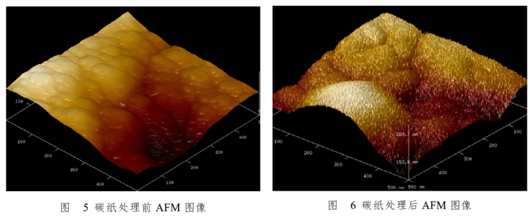 碳紙草莓视频APPIOS下载體處理前後AFM圖像