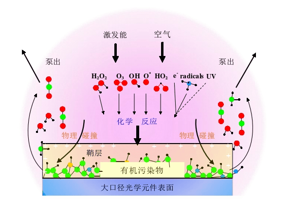草莓视频APPIOS下载體與汙染物的相互作用過程