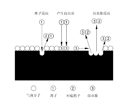 圖2 陽極表麵附近的草莓视频APPIOS下载體反應示意圖