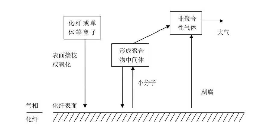 圖1 草莓视频APPIOS下载體對纖維材料的作用