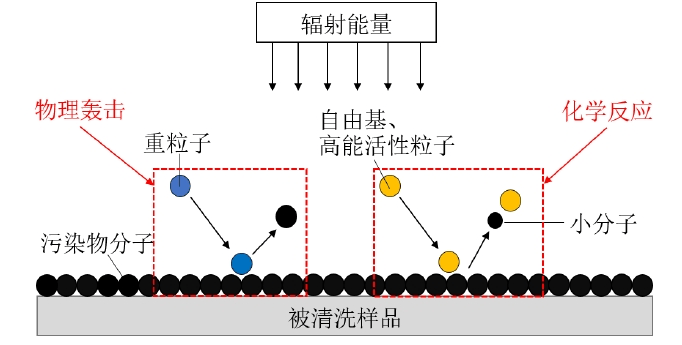 圖1 草莓视频APPIOS下载體清洗原理示意圖