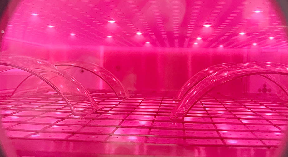 真空草莓视频APPIOS下载表麵處理機常見故障和檢查維修方法