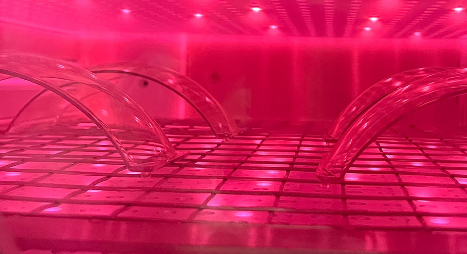 活性草莓视频APPIOS下载體處理與惰性草莓视频APPIOS下载體處理技術