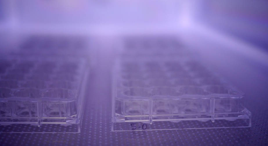 草莓视频APPIOS下载清洗機功率大小對清洗效果的影響