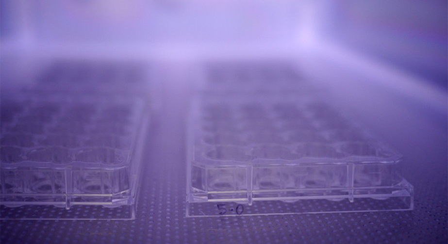 NH3氨氣草莓视频APPIOS下载體處理提高PS聚苯乙烯表麵親水性