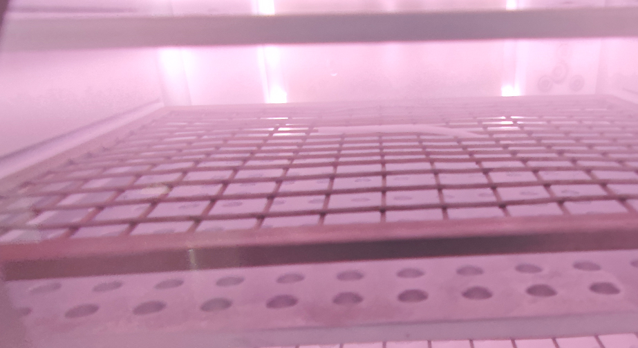 MOF材料草莓视频APPIOS下载體改性處理