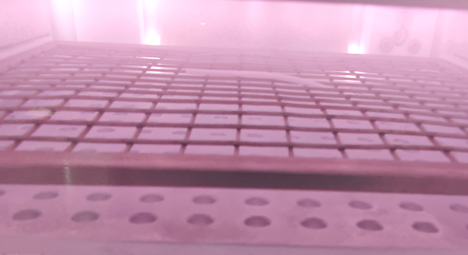 Pebax醫療導管草莓视频APPIOS下载體處理提高親水粘接性能